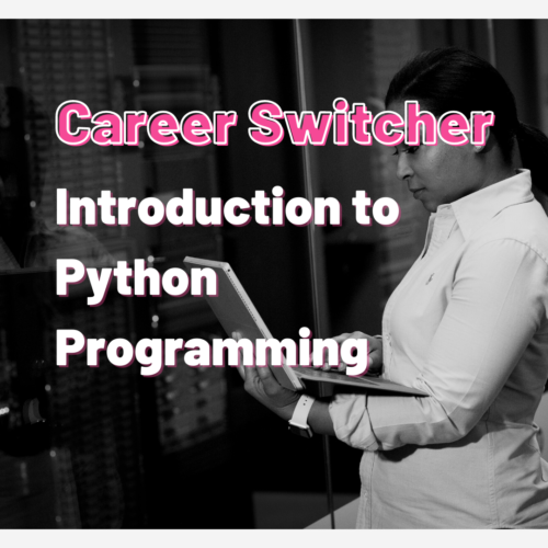 Introduction to python programming career switcher image